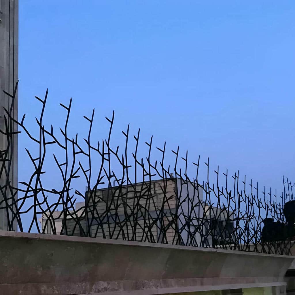 حفاظ دیوار مشکی روی دیوار نم‌زده اقامتگاه استان گیلان