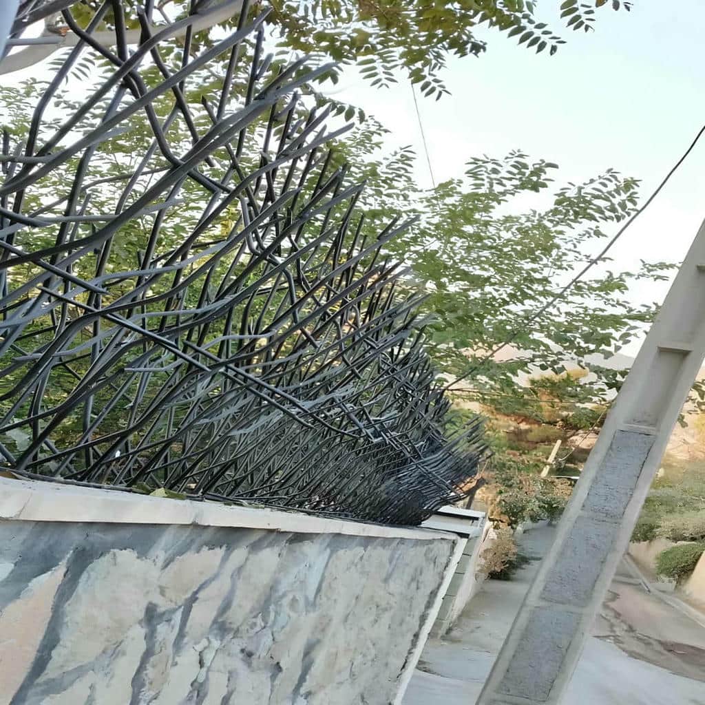 نرده روی دیوار حیاط ویلایی با شاخه‌های متراکم استان تهران