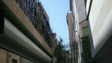 حفاظ دیوار سرنیزه‌ای روی تاج باریک استان سیستان و بلوچستان