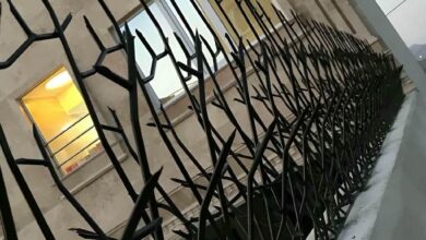 حفاظ دیوار سرنیزه‌ای مشکی محوطه اداری ساری