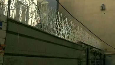 حفاظ دیوار شاخ گوزنی روی حیاط آفتاب گیر اصفهان