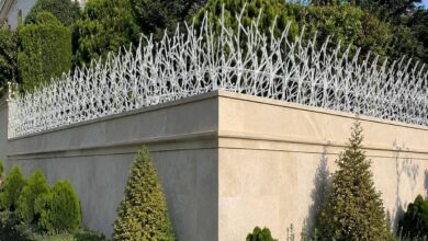 حفاظ دیوار شاخ گوزنی مشکی روی دیوار حیاط استان تهران