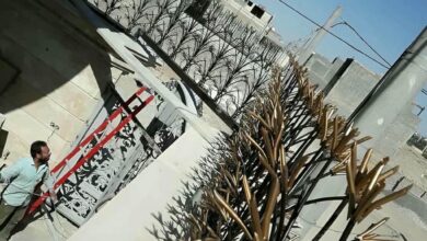 حفاظ دیوار مشکی بر فراز حصار پلکانی باغ ویلا در شیراز