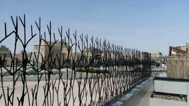 حفاظ دیوار مشکی در حاشیه سایت خورشیدی بندرعباس